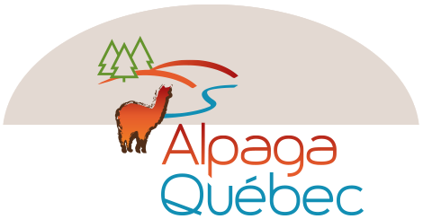Alpaga Quebec